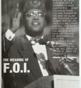 The Meaning of The F.O.I.
