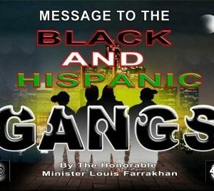 Message To The Black and Hispanic Gangs (CDPACK)