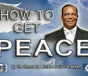 How To Get Peace (CD)