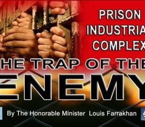 Prison Industrial Complex: The Trap of The Enemy (CDPACK)