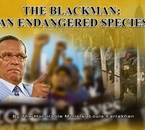 The Blackman: An Endangered Species (CD Package)