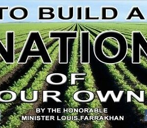 To Build a Nation of Our Own (CDPACK)