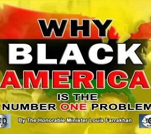 Why Black America Is The Number One Problem (CD Package)