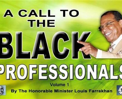A Call to the Black Professional Pt 1 (CD Package)