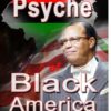 The Psyche Of Black America (CD)