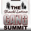 Black/Latino Gang Summit (DVD)