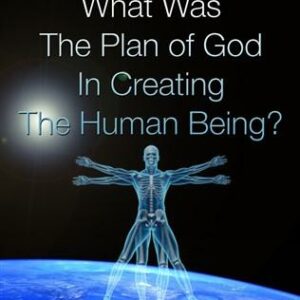 What Was The Plan Of God In Creating The Human Being?