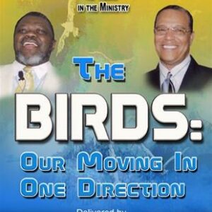 The Birds: Our Moving In One Direction