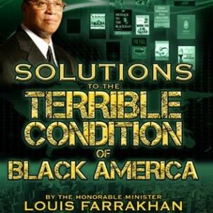 Solutions For The Terrible Condition of Black America